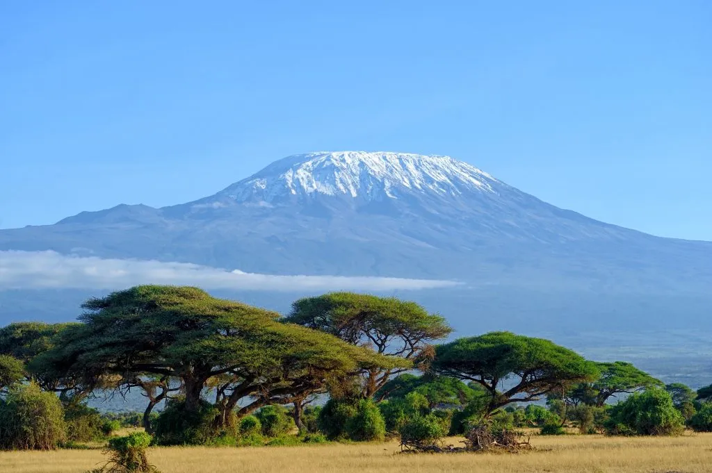 Wildlife and natural attractions near Meru including Lewa Wildlife Conservancy