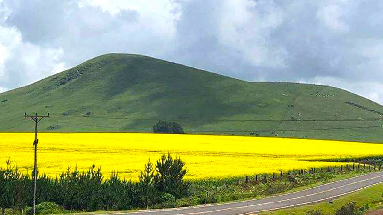 Mount Kenya and scenic landscapes surrounding Meru region